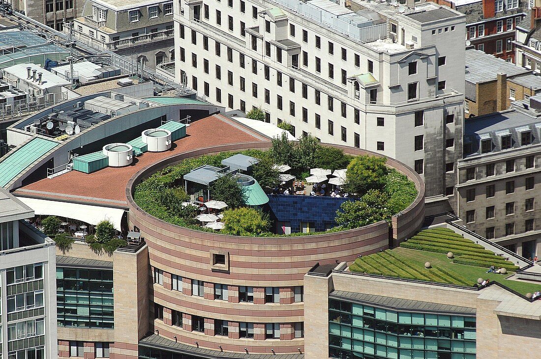 Roof garden,aerial photograph