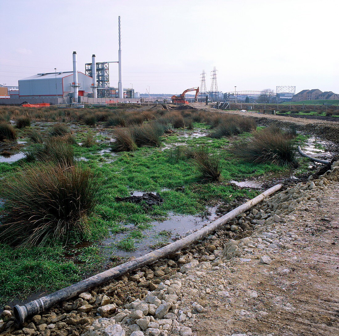 Marsh threatened by construction