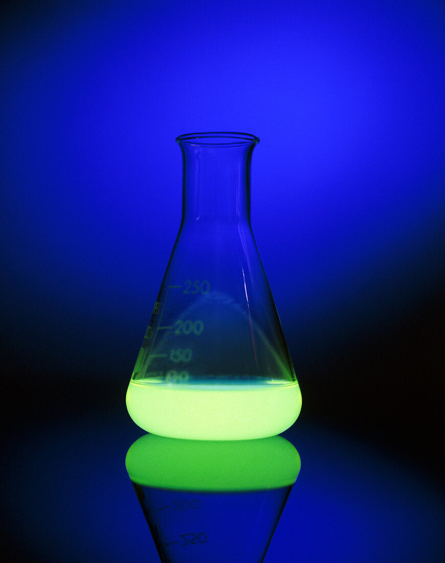 Bioluminescence seen in a laboratory flask