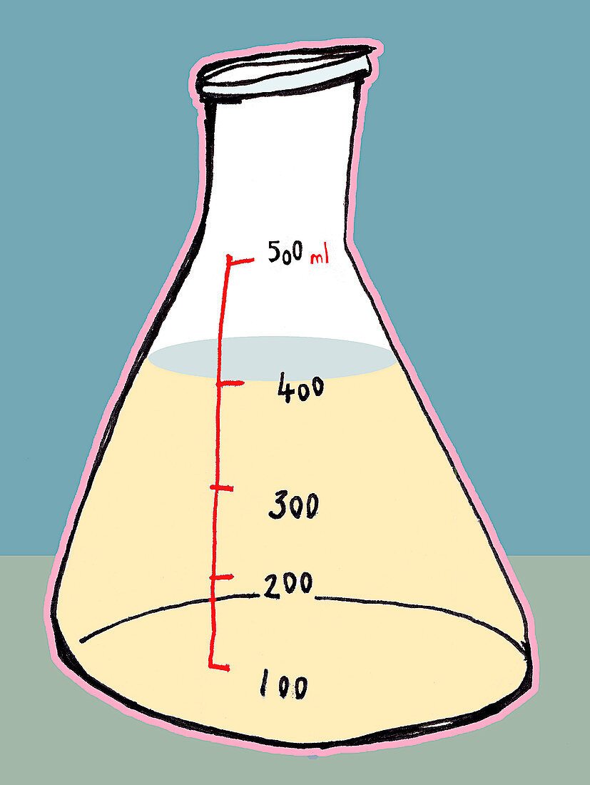 Conical flask