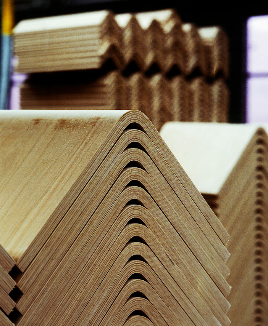 Plywood furniture manufacturing