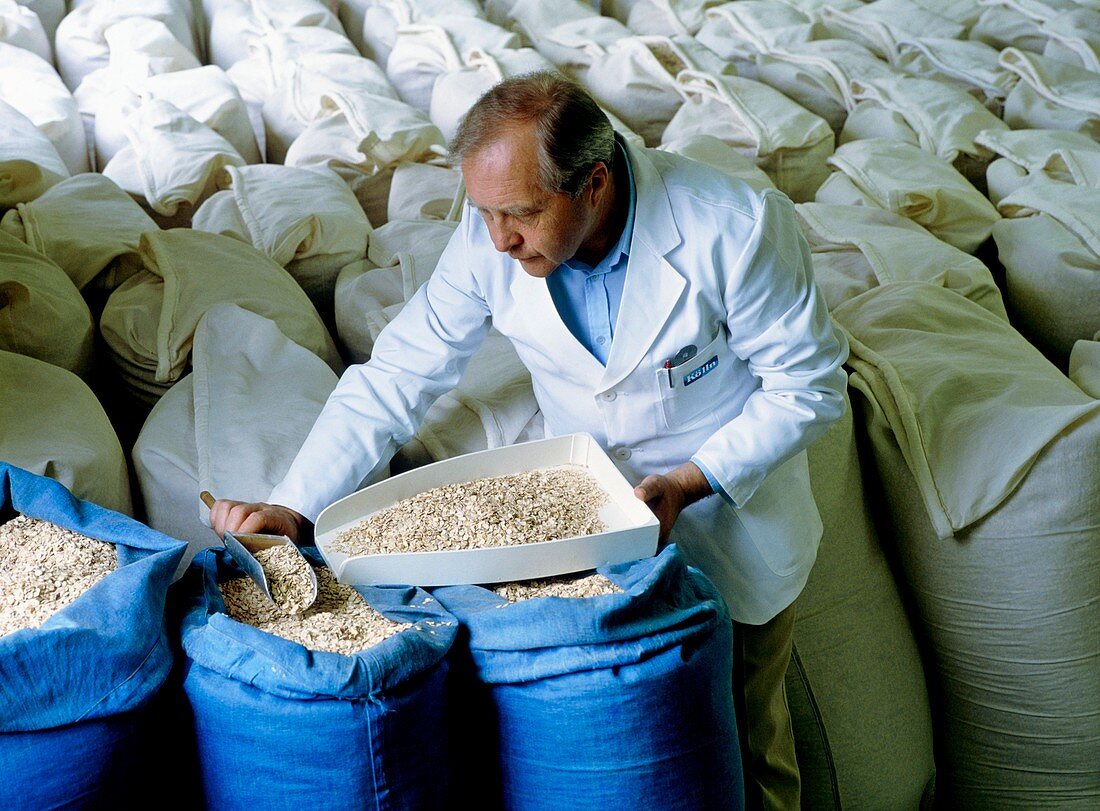 Miller testing the quality of rolled oats