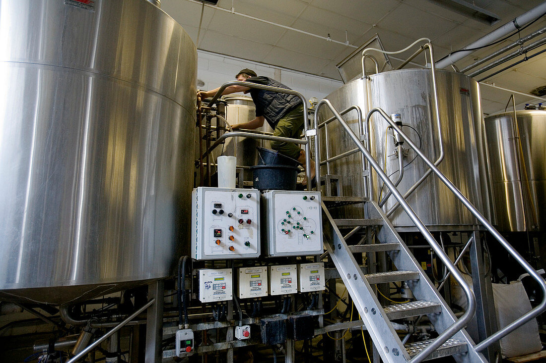 Technician adjusting vats in microbrewery