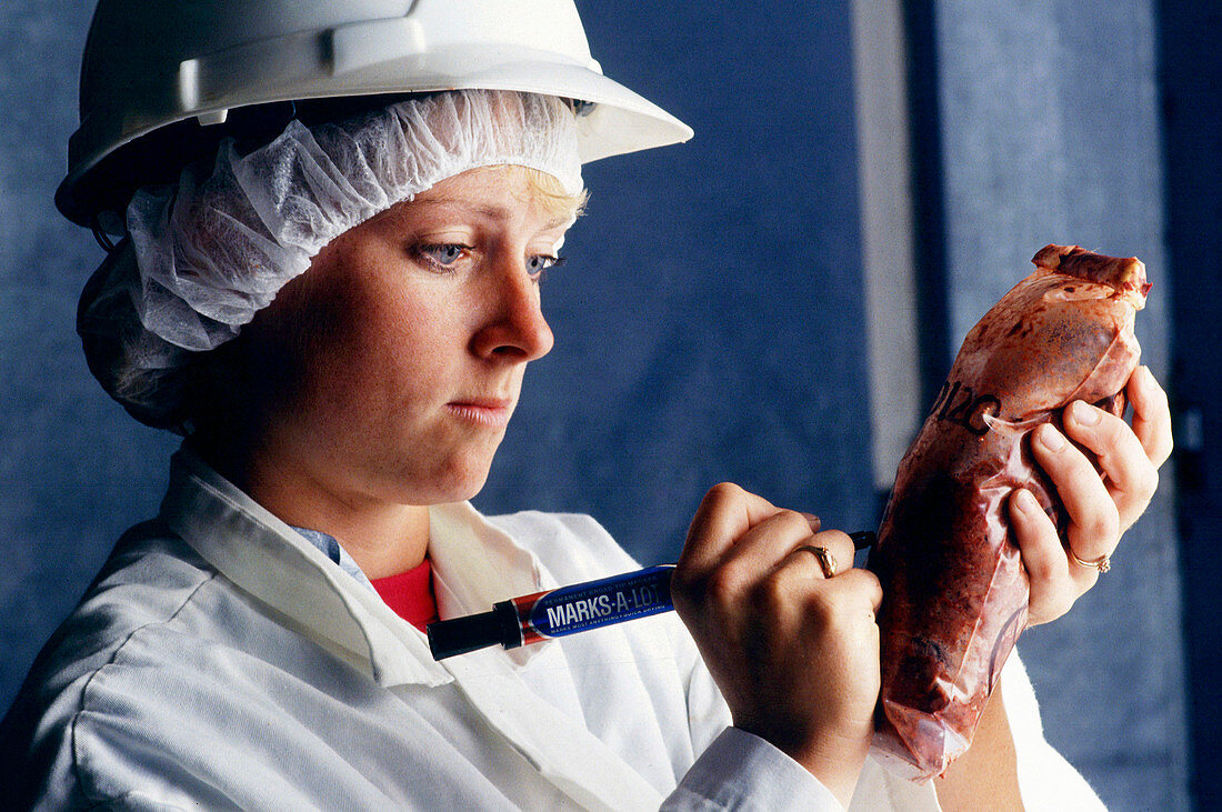 Researcher preparing beef for analysis