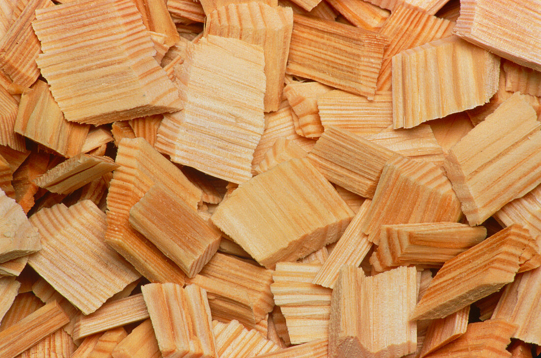 Close-up of wooden chips used for pulp manufacture