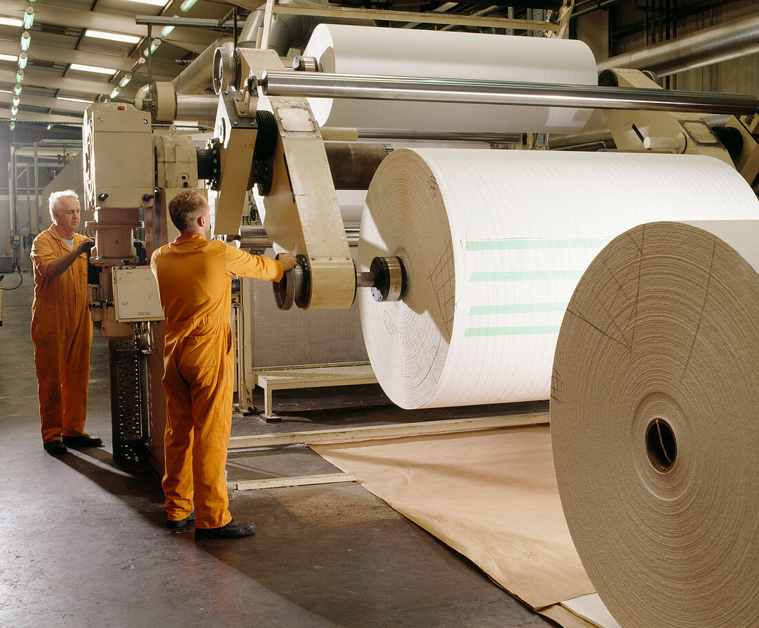 Paper roll machine
