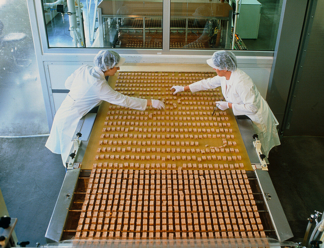 Women working on a chocolate bar production line