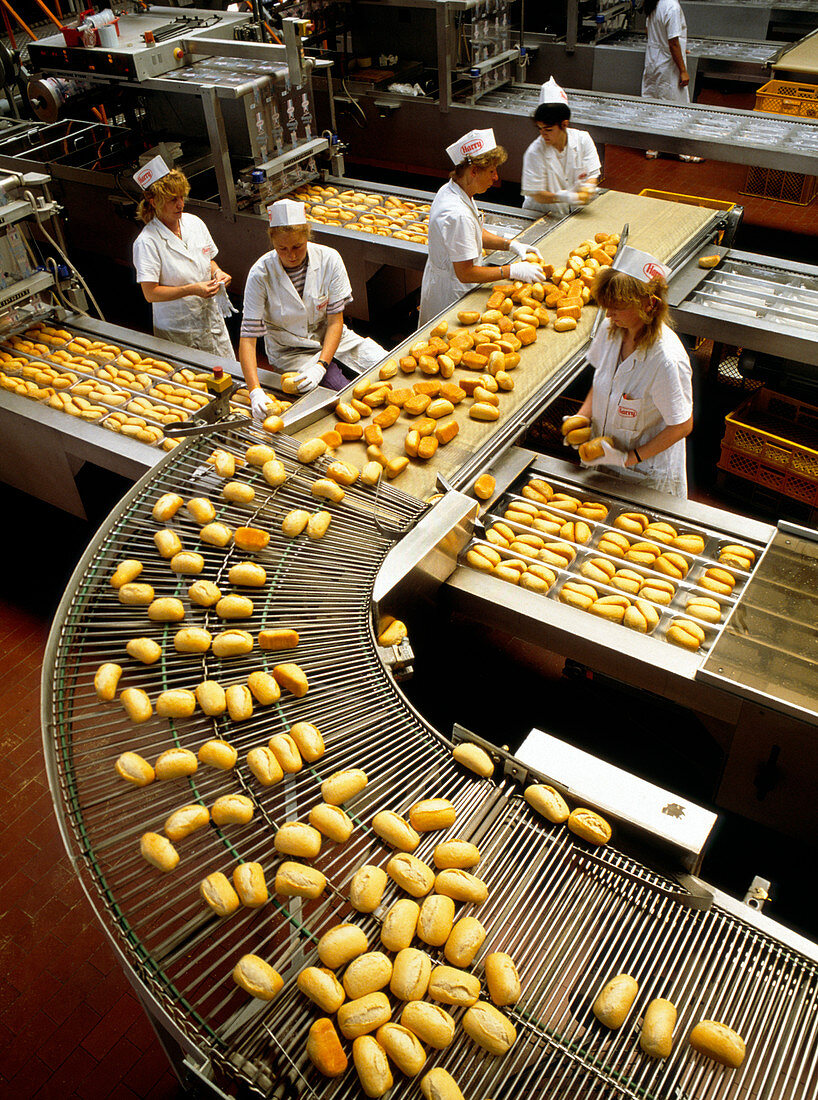 Loaves of bread on a packaging production line