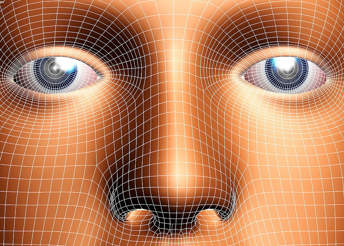 Face biometrics