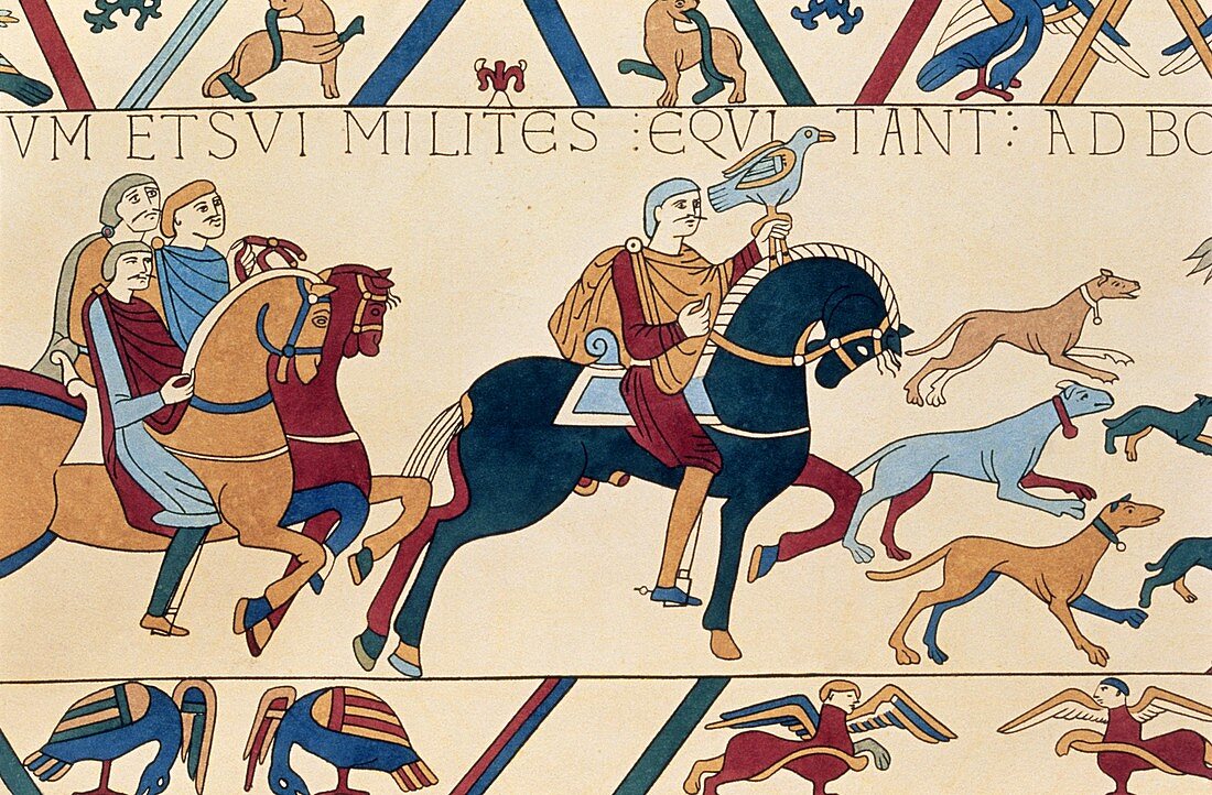 Bayeux Tapestry: William the Conqueror hawking