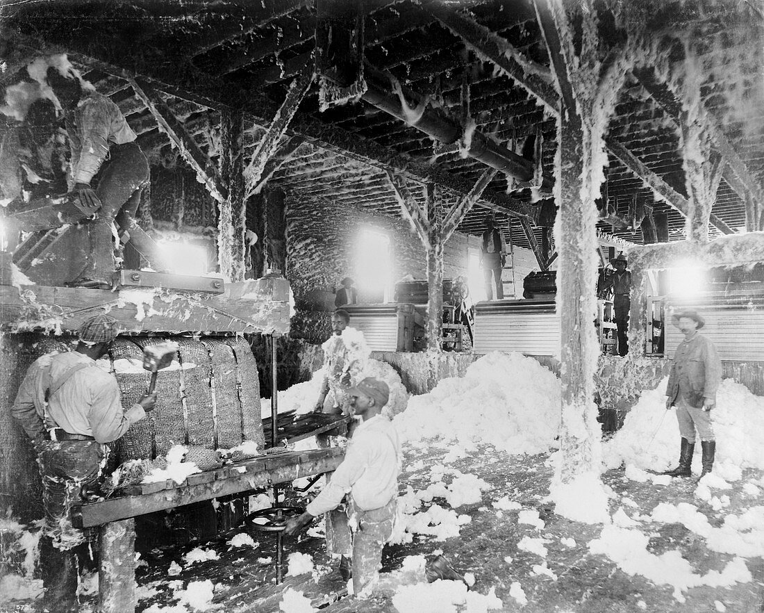 Cotton gins,circa 1890