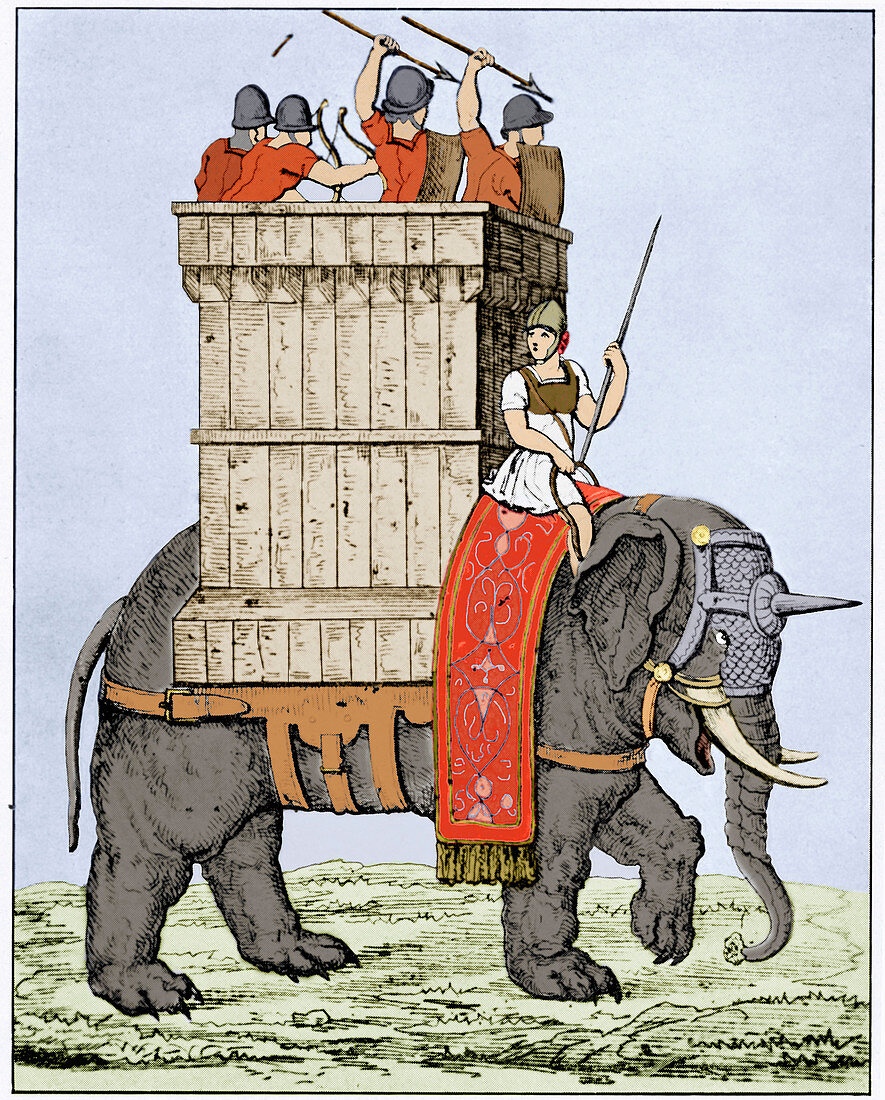 Roman elephant of war