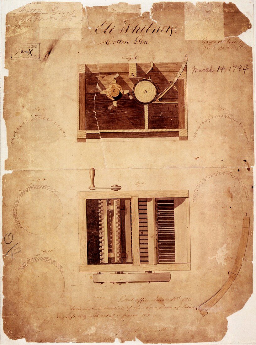 Whitney's cotton gin patent,1794