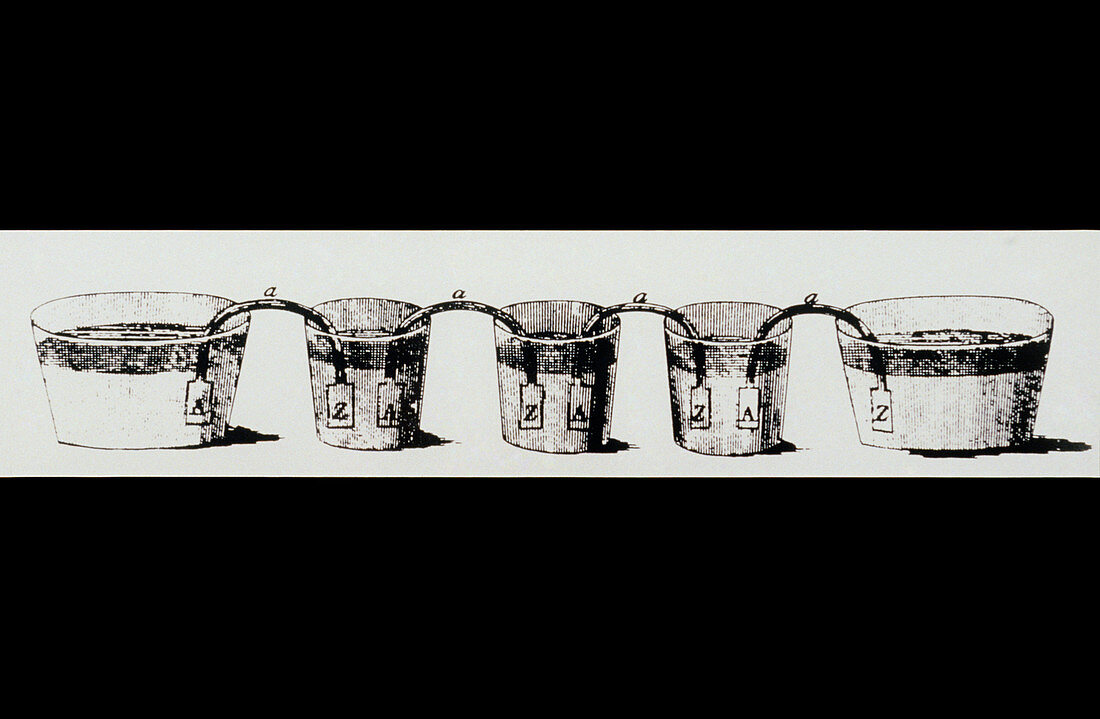 Alessandro Volta's crown of cups