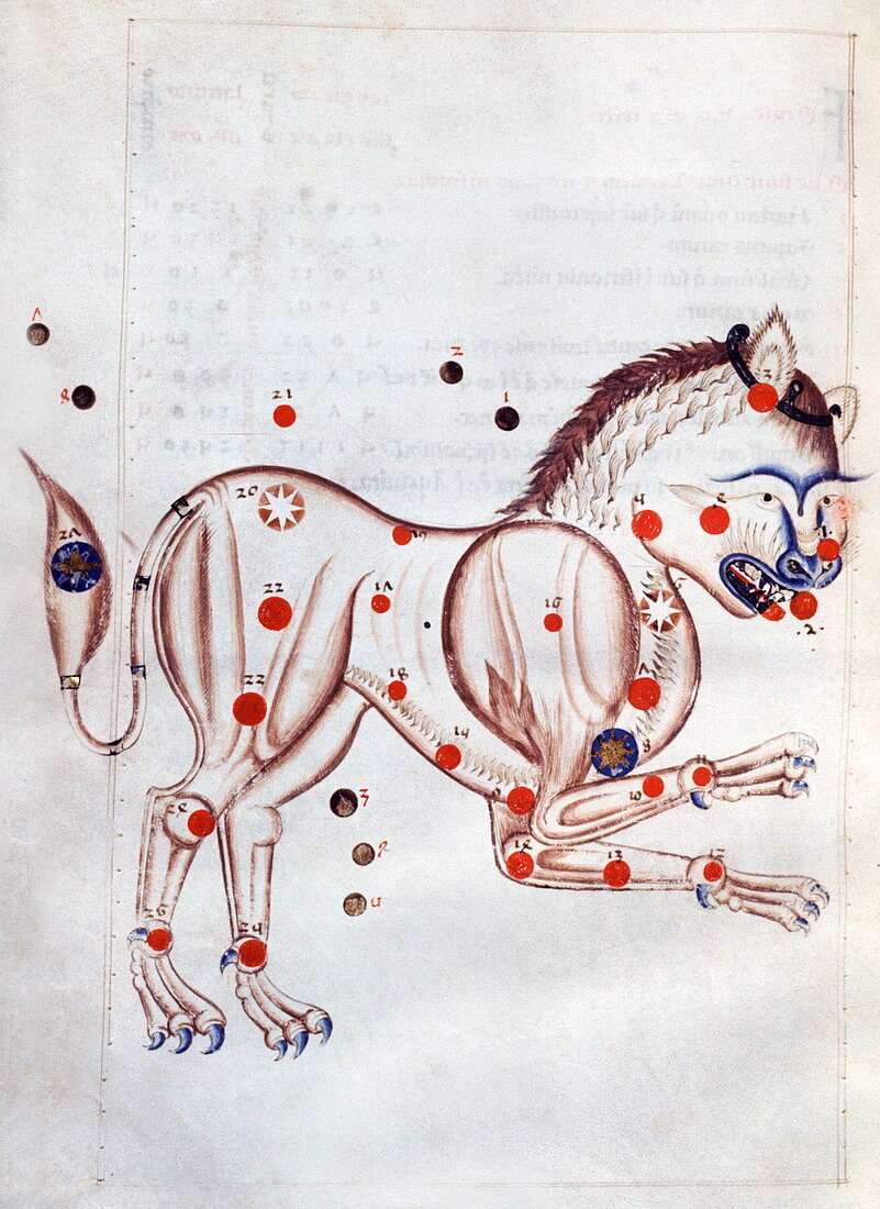 Leo the Lion,13th century artwork