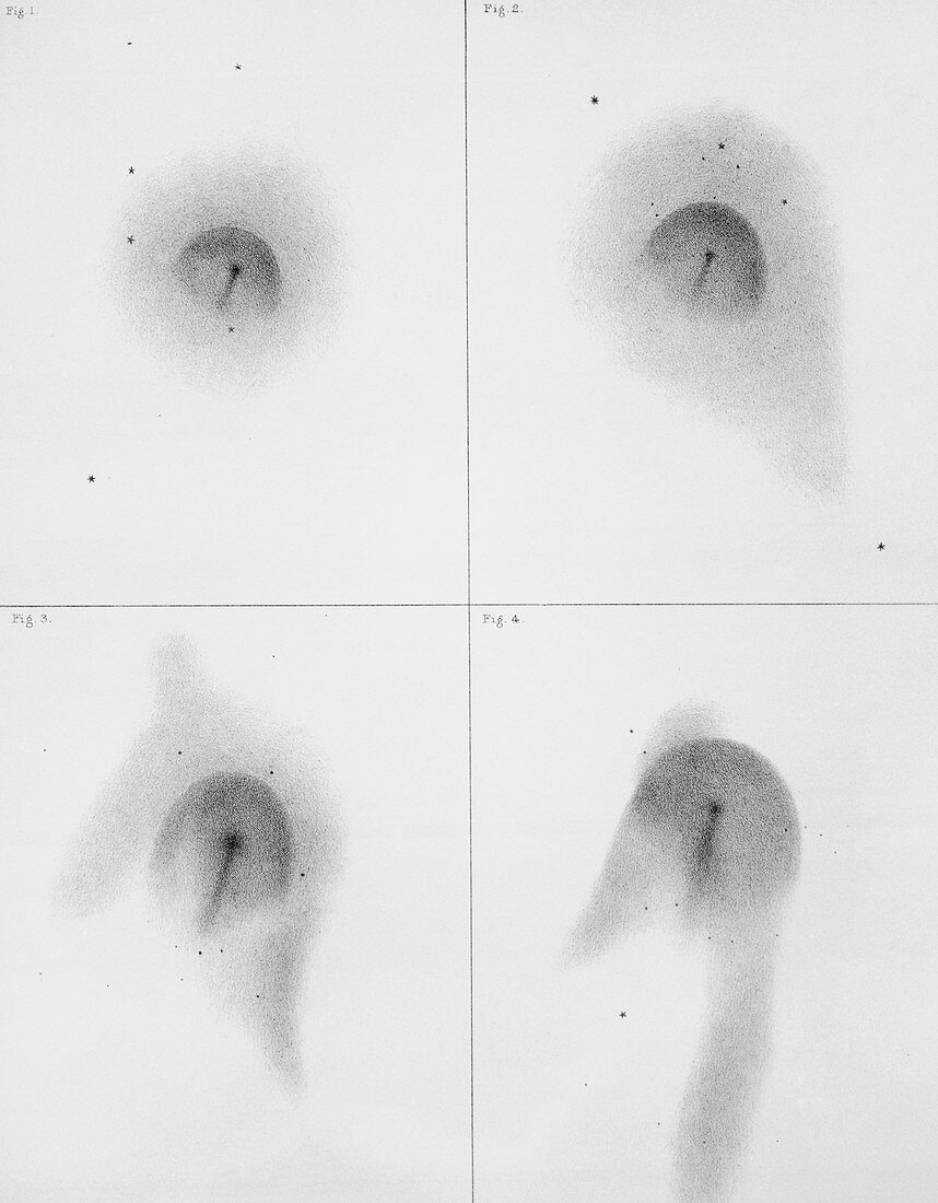 Halley's Comet observations,1835