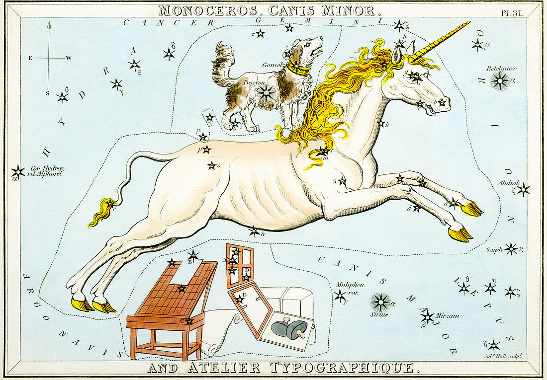 Monoceros and Canis Minor constellations