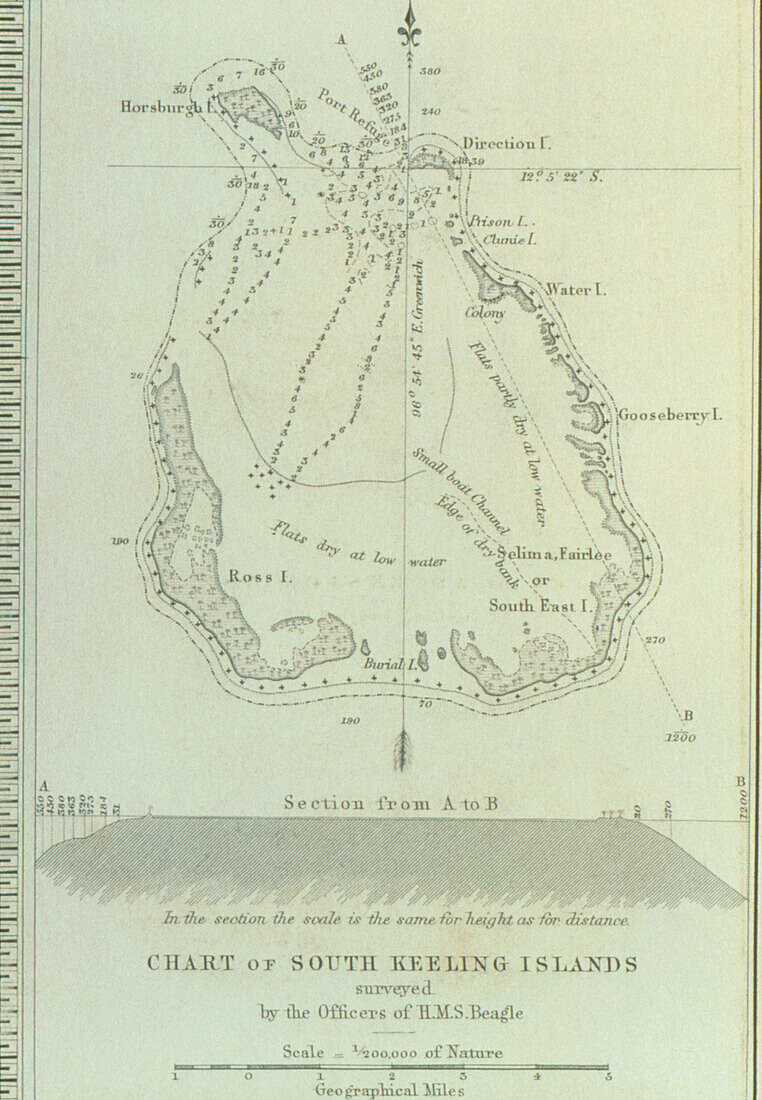 Survey of an atoll drawn by the crew of HMS Beagle