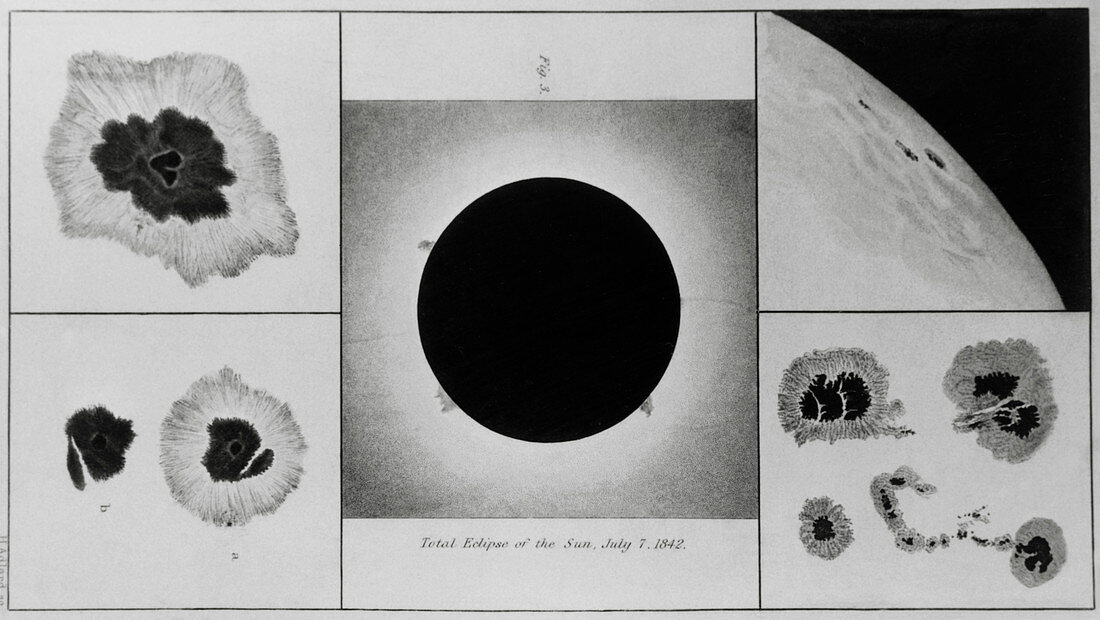 Drawings of total solar eclipse (1842) by Herschel