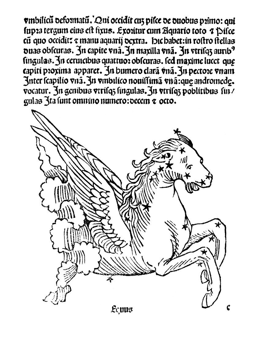 Equus constellation,1482