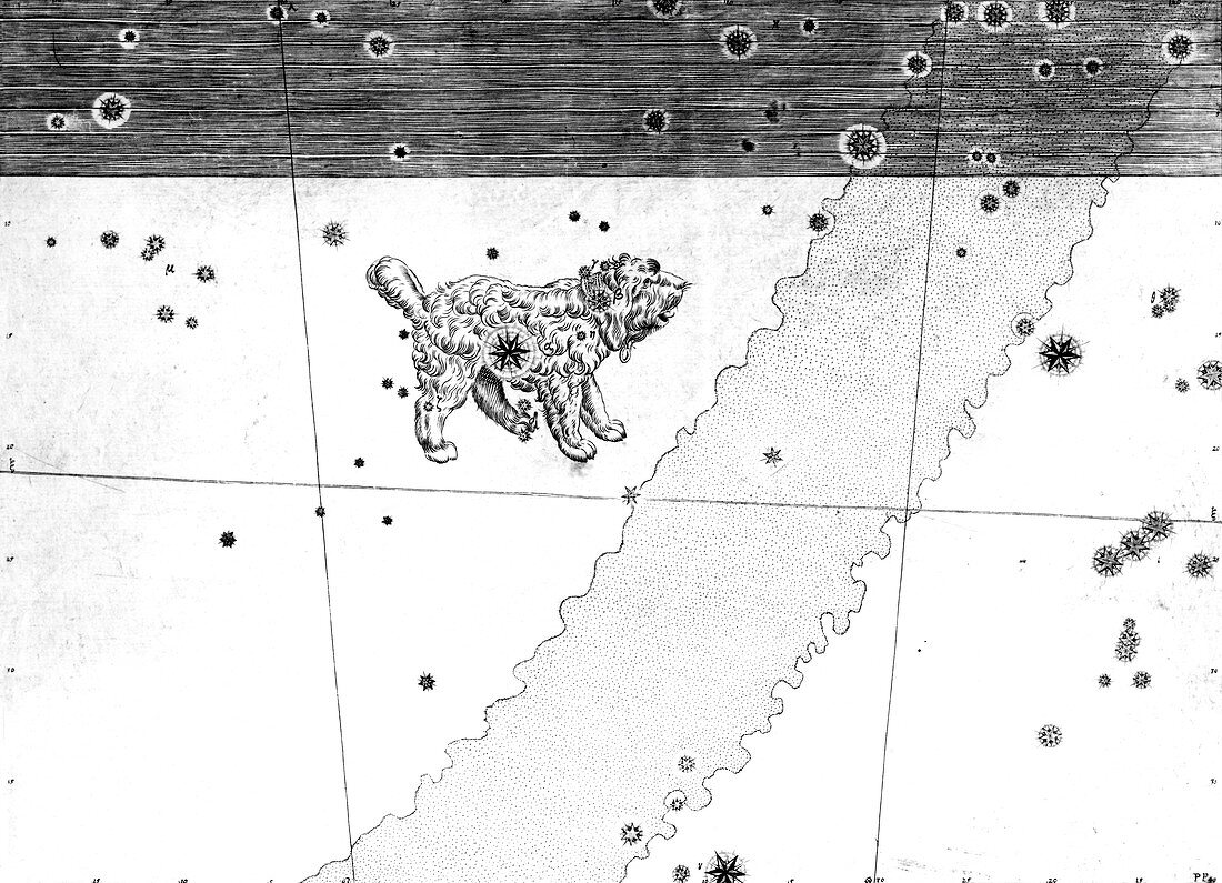 Canis Minor constellation,1603