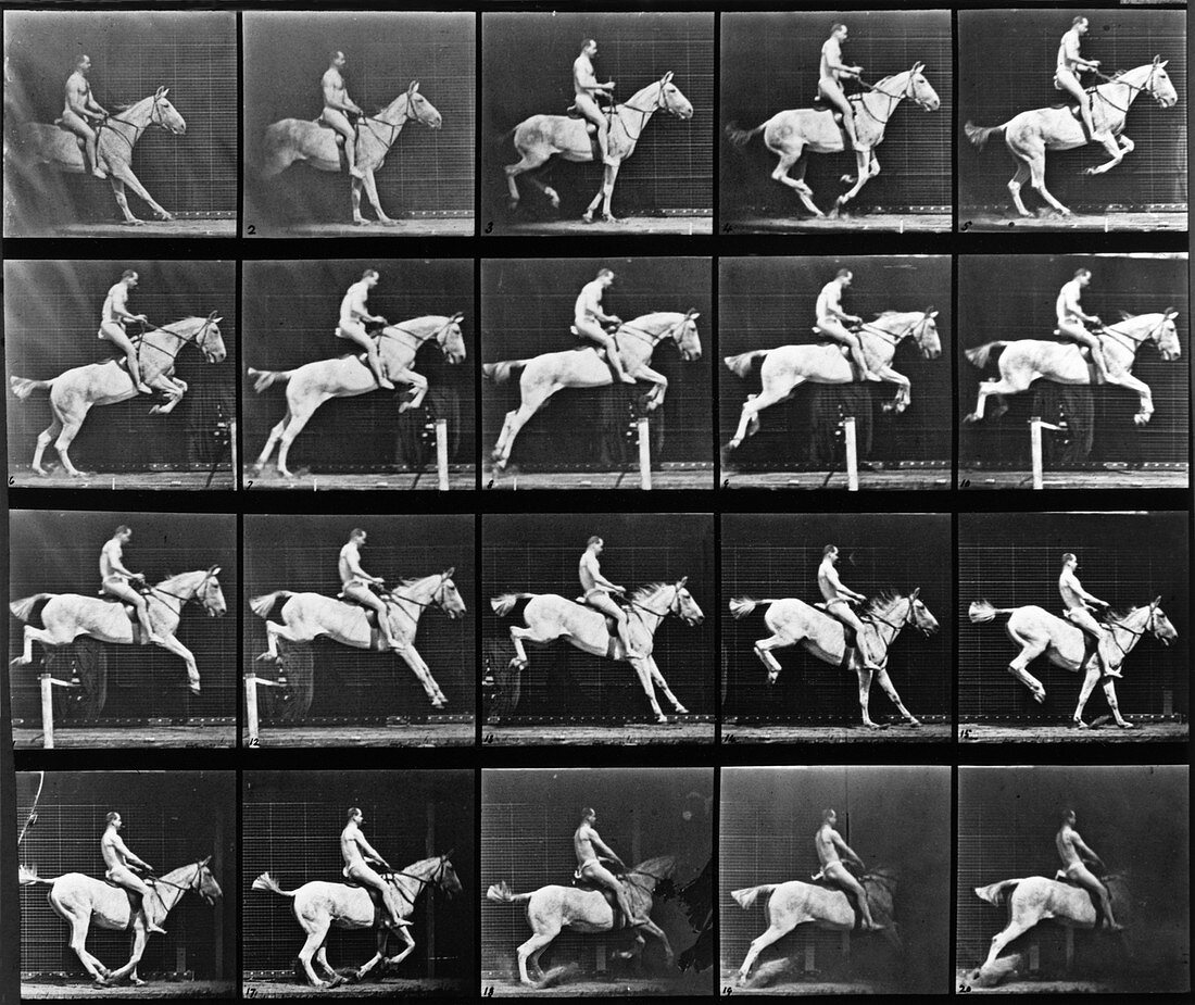 High-speed horse jump sequence by Muybridge