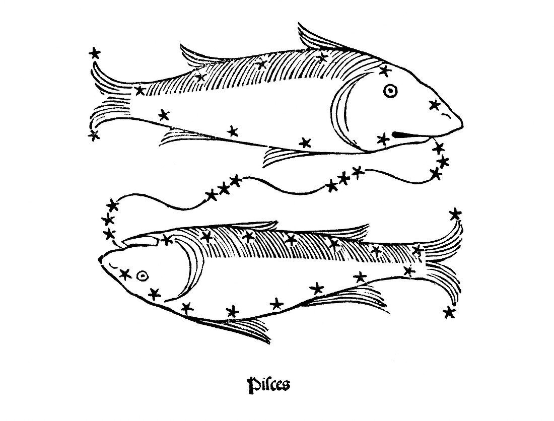 Pisces constellation,1482