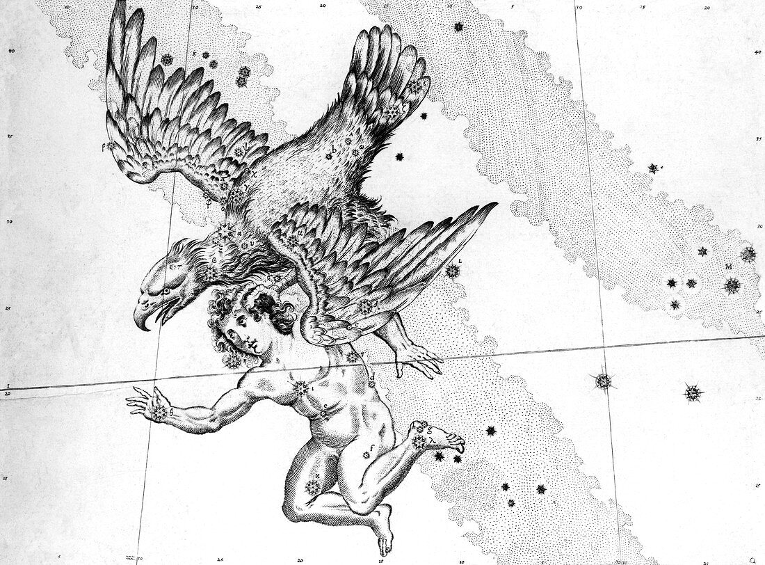 Aquila constellation,1603