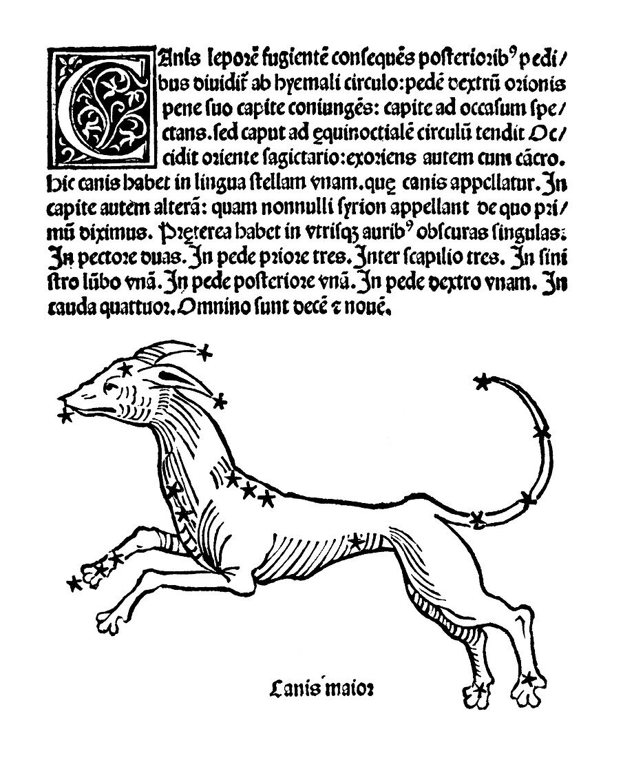 Canis Major constellation,1482
