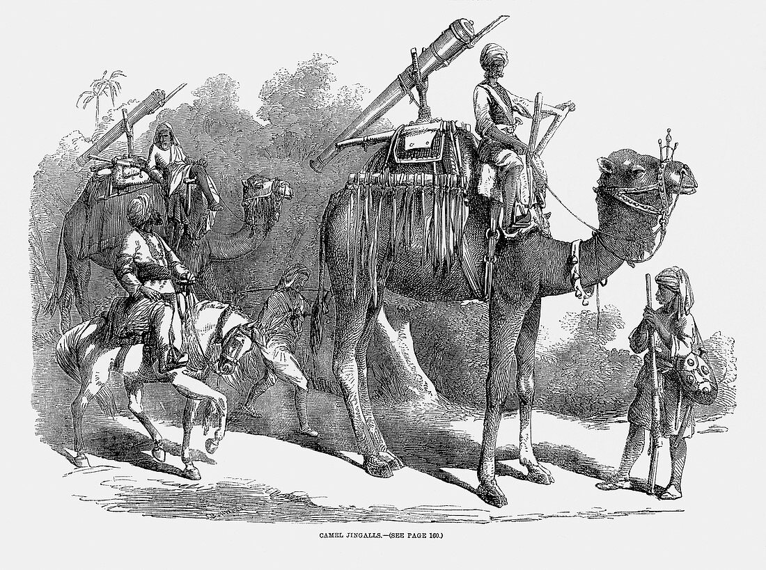 Cannons mounted on camels,1858