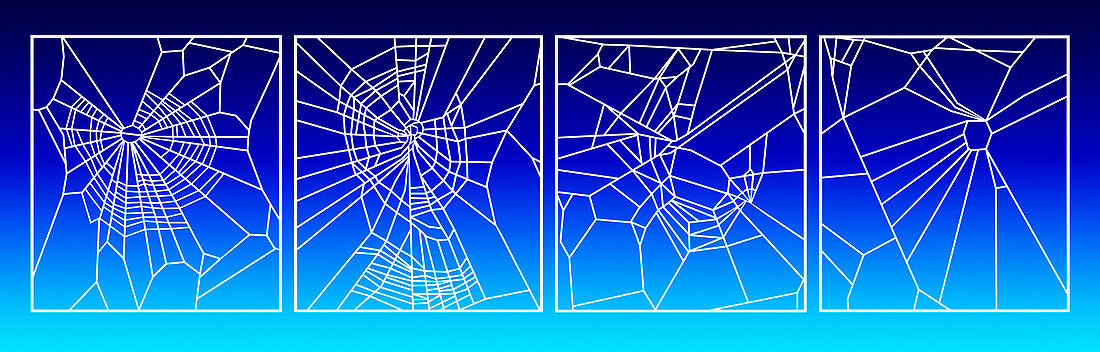 Effect of drugs on spiders,artwork