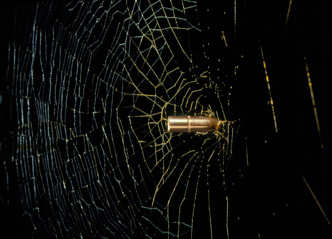 Conceptual image of spider's web stopping bullet