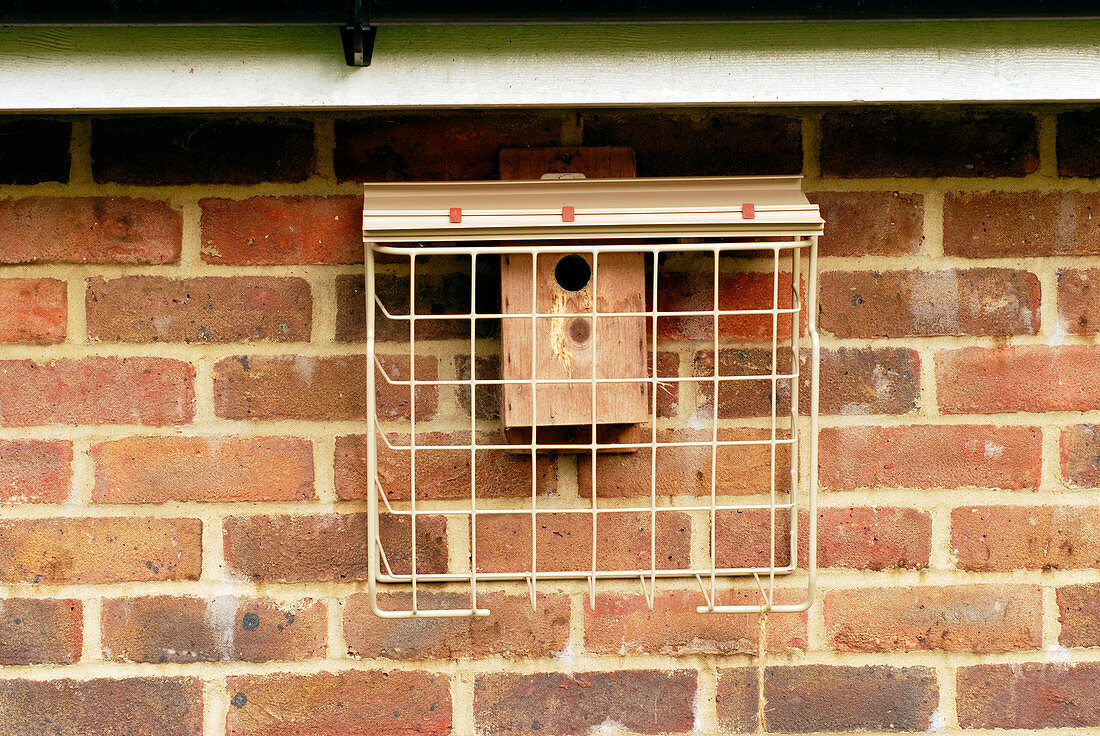 Protected nest box
