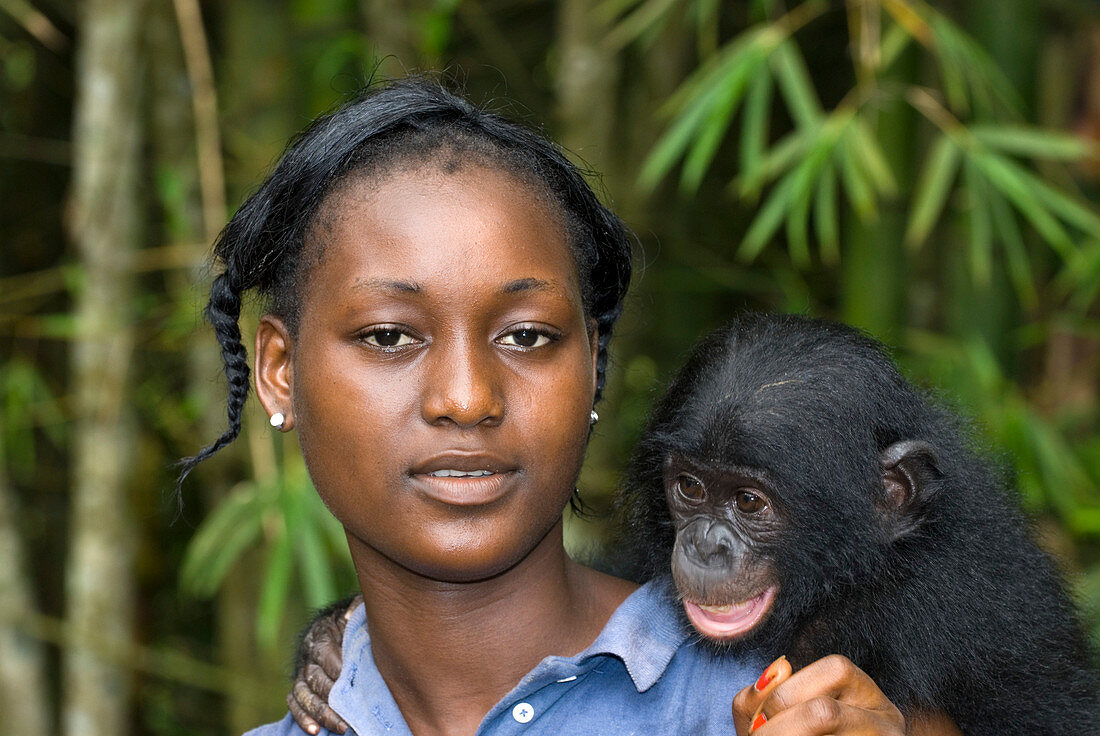 Bonobo ape conservation