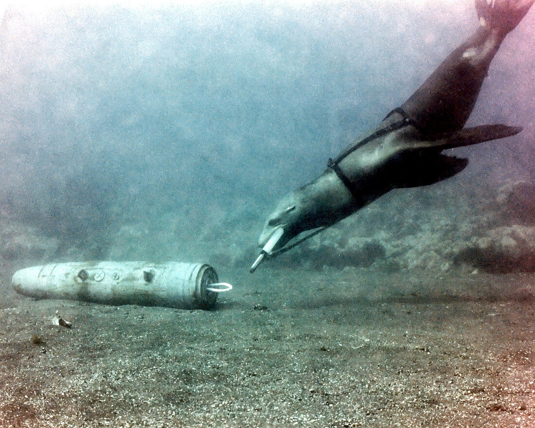 US Navy sea lion training underwater