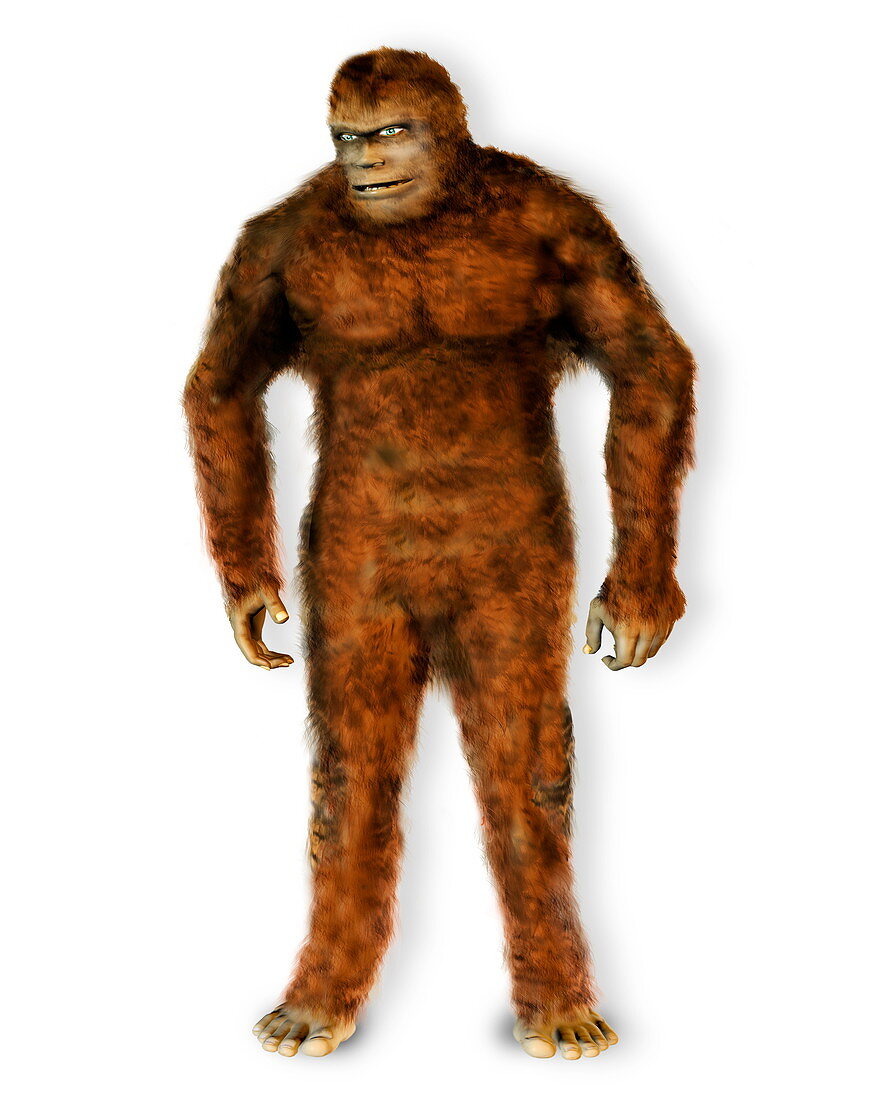 Mythical large ape