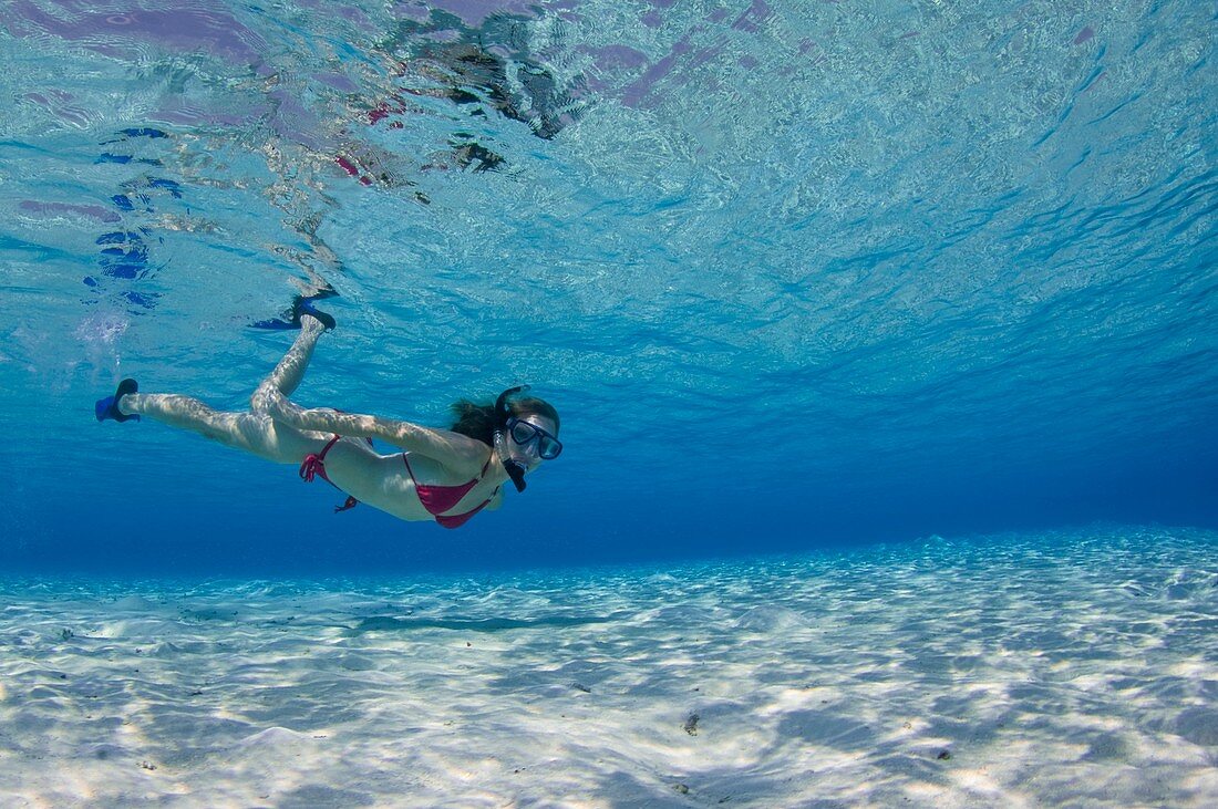 Snorkeller in the Maldives