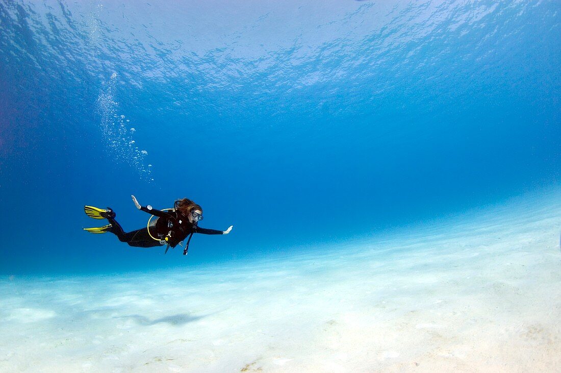 Diver in the Maldives