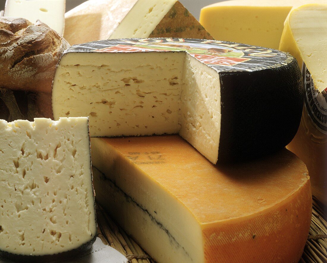 Stillleben mit Käse: Pyrenäenkäse, Morbier, Brot