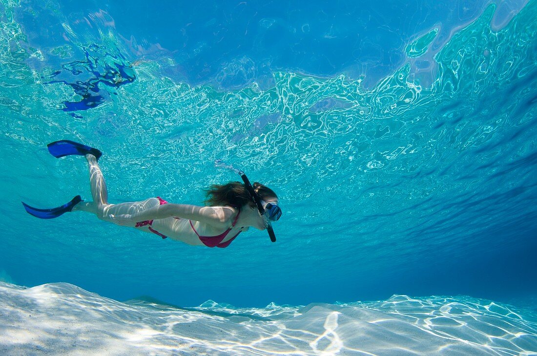 Snorkeller in the Maldives