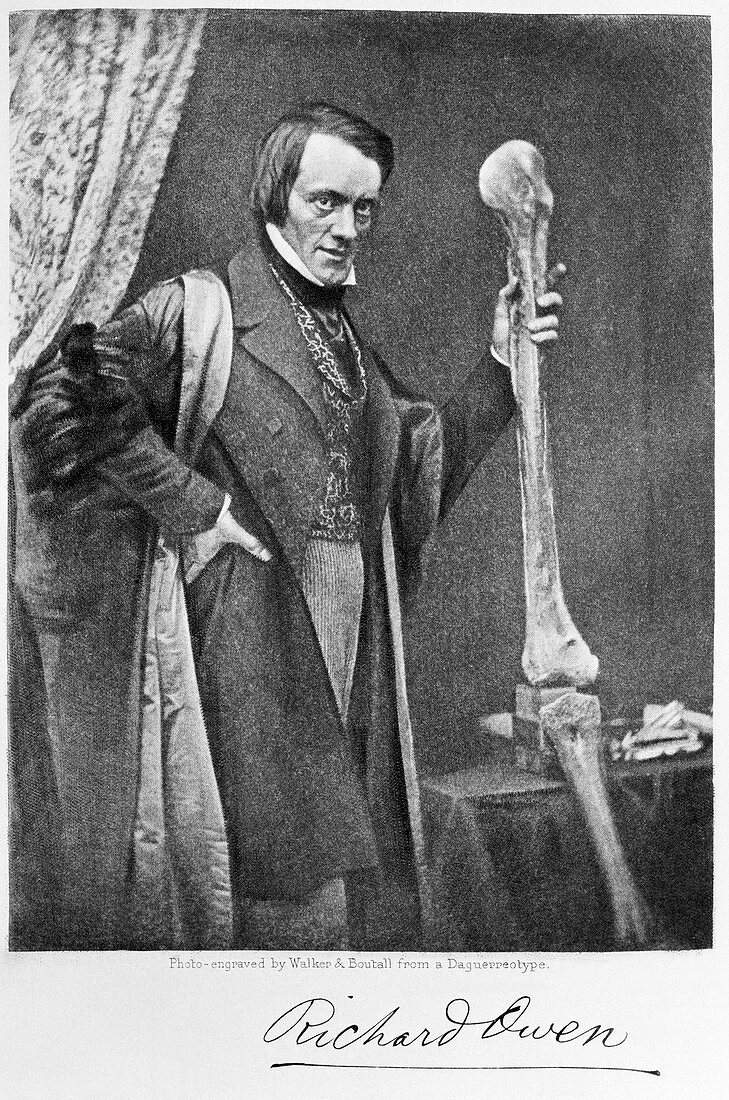 Sir Richard Owen,British palaeontologist