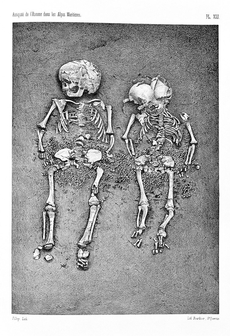 Cro-Magnon skeletons
