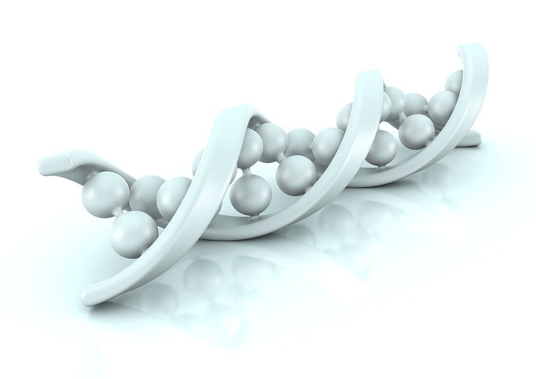 DNA molecule,artwork