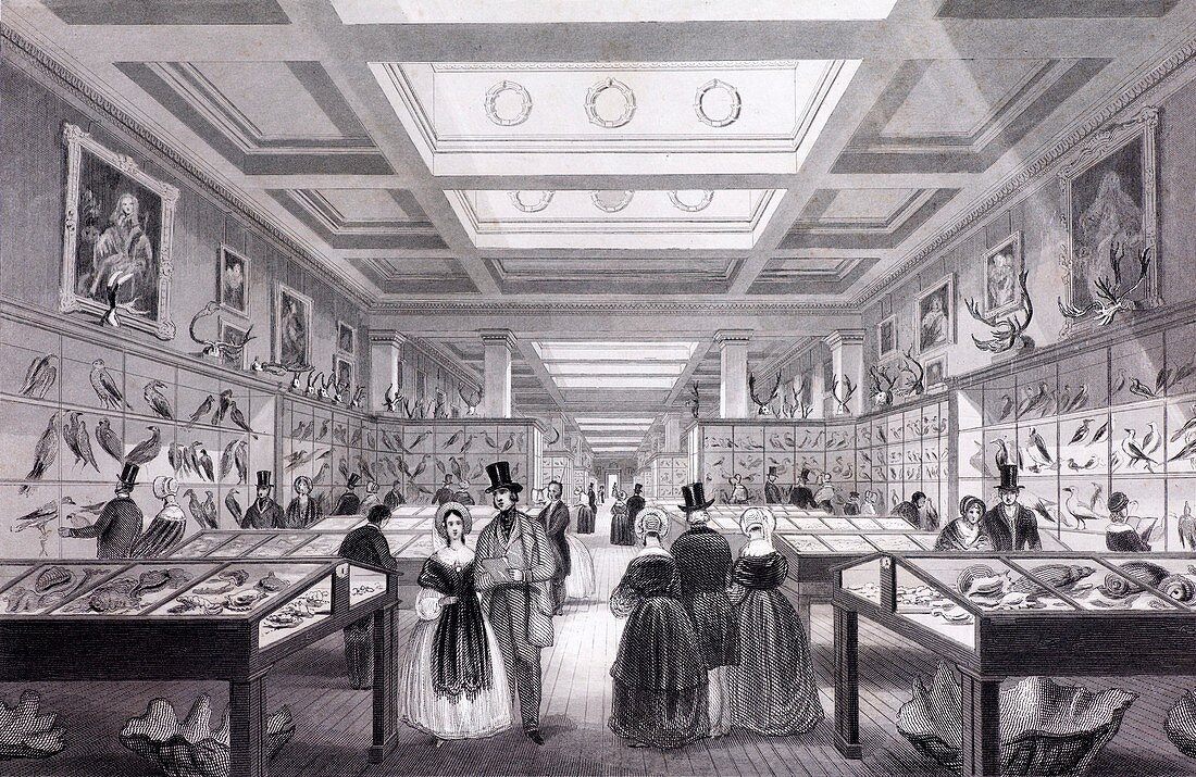 1841 British Museum Zoological Gallery