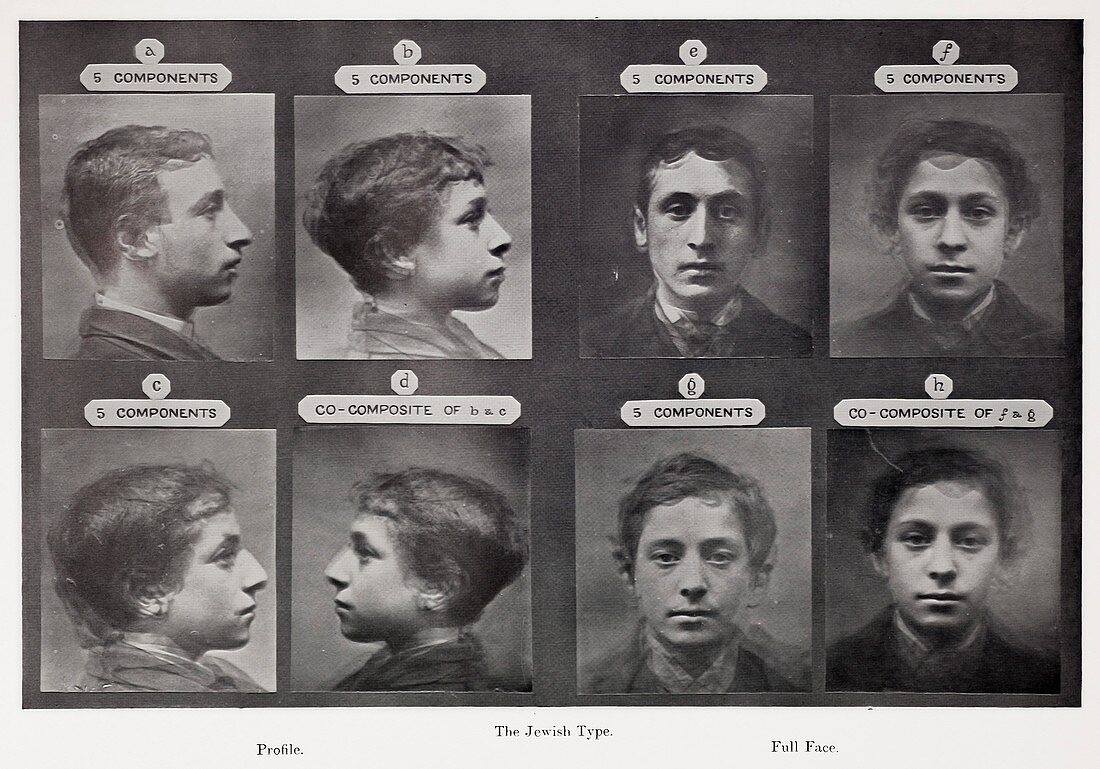 1878 Galton Jewish types photocomposite
