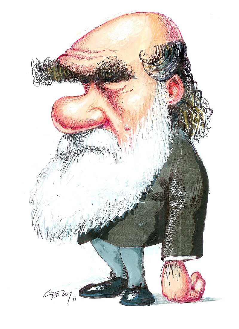 Charles Darwin,caricature