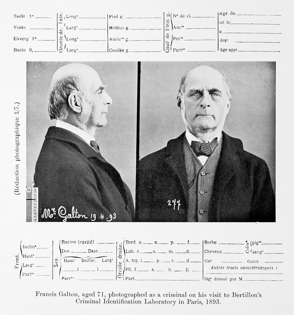 1893 Francis Galton criminal photograph