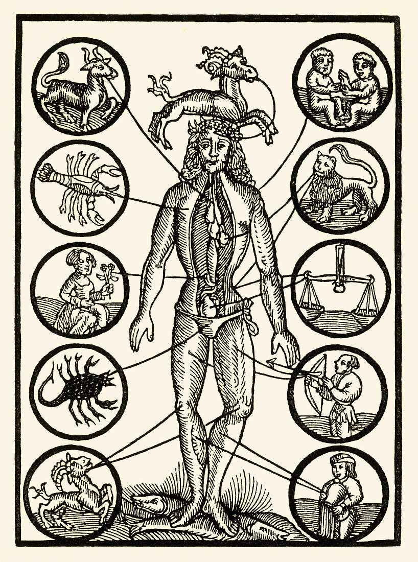 Astrology and medicine,artwork