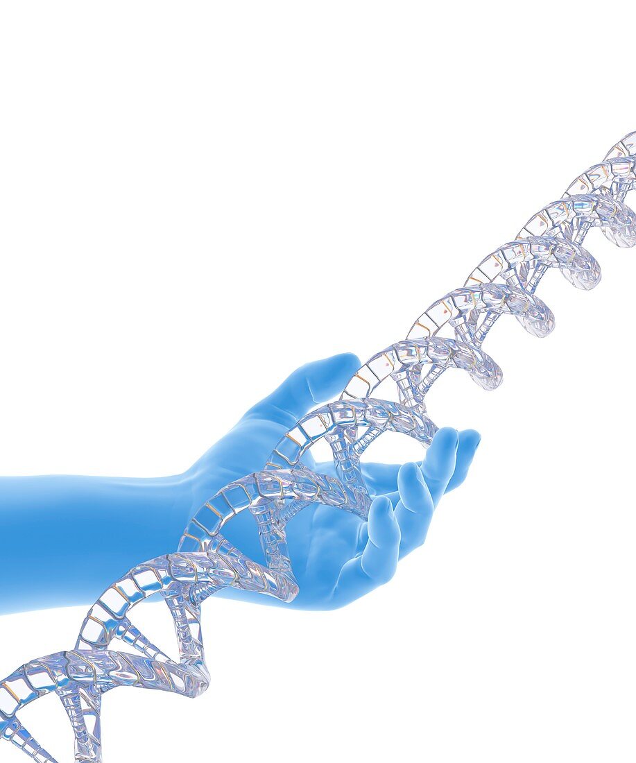 Hand with DNA strand,computer artwork