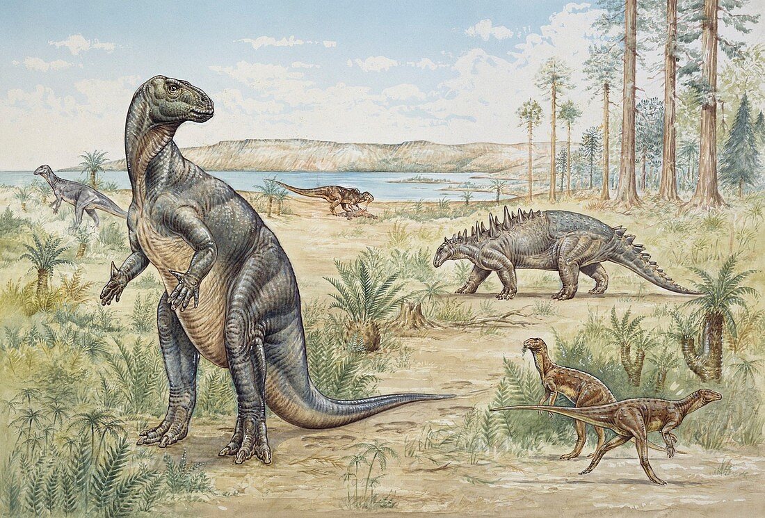 Lower Cretaceous dinosaurs